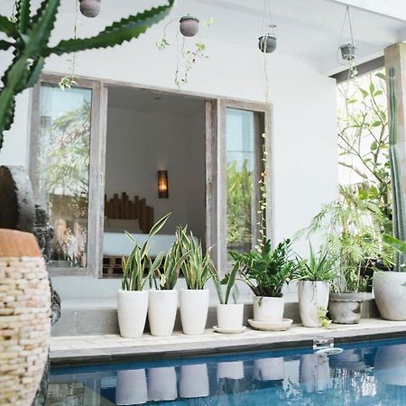 Cat Cow Yoga Villa Canggu  Ngoại thất bức ảnh
