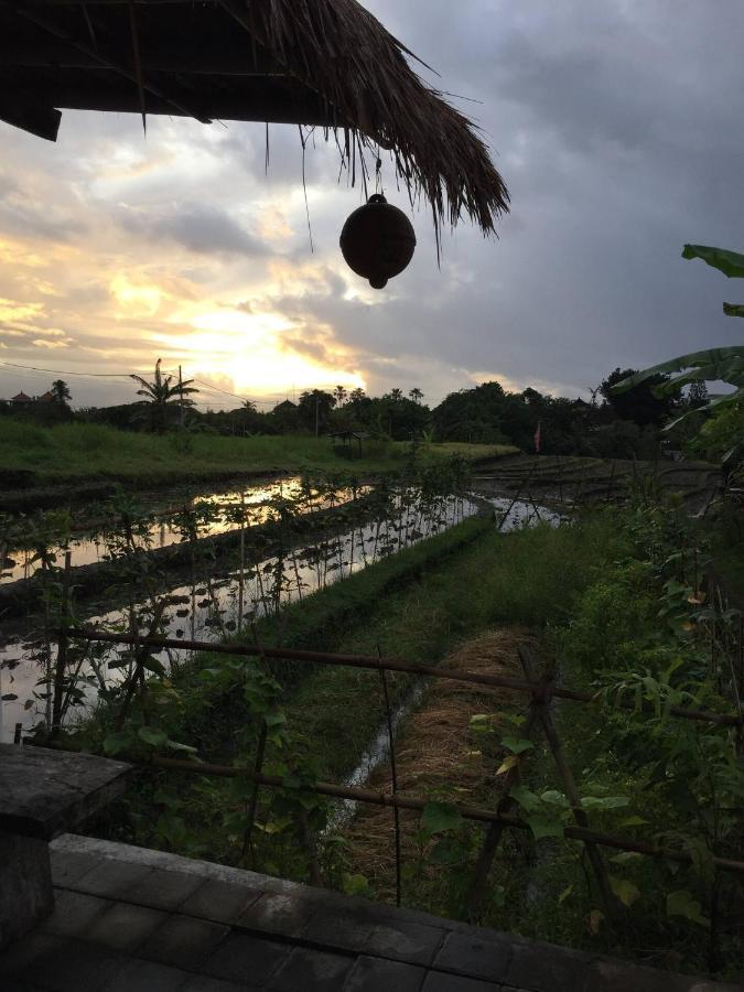 Cat Cow Yoga Villa Canggu  Ngoại thất bức ảnh