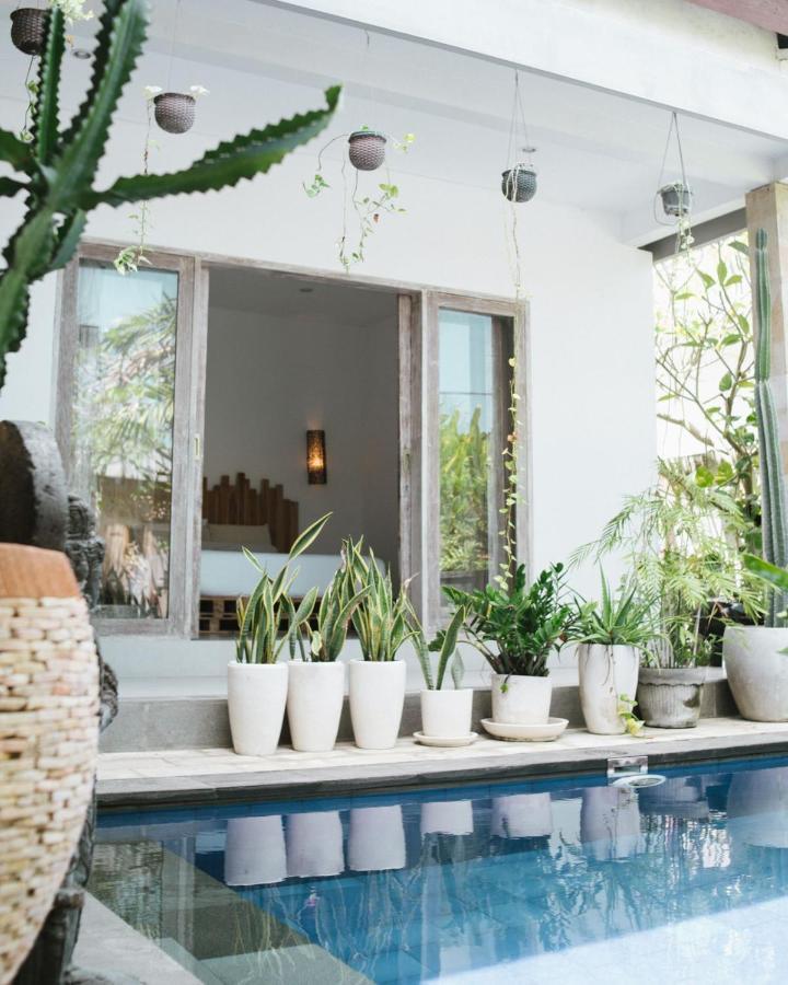 Cat Cow Yoga Villa Canggu  Ngoại thất bức ảnh
